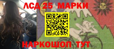 прущие грибы Тверь