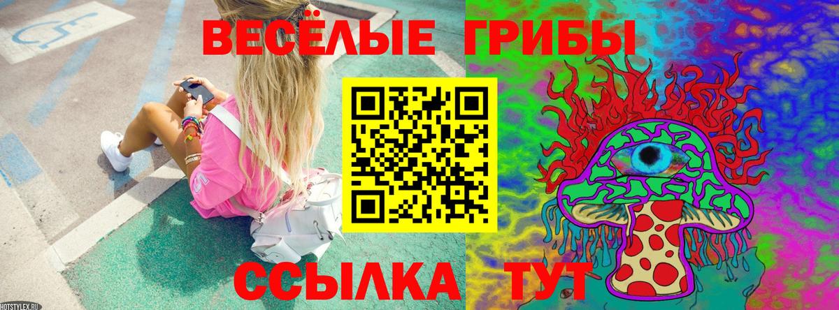 НБОМе  Бийск  ГАШ  МЕФ   Вход с VPN  COCAIN  Мефедрон  Экстази 