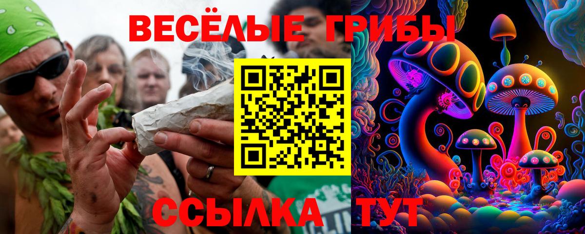 Галлюциногенные грибы MAGIC MUSHROOMS  Вход с VPN  Псилоцибиновые грибы мухоморы  Бийск 