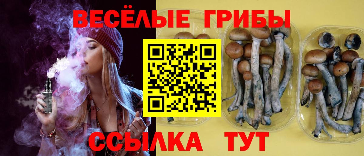 Галлюциногенные грибы прущие грибы Бийск